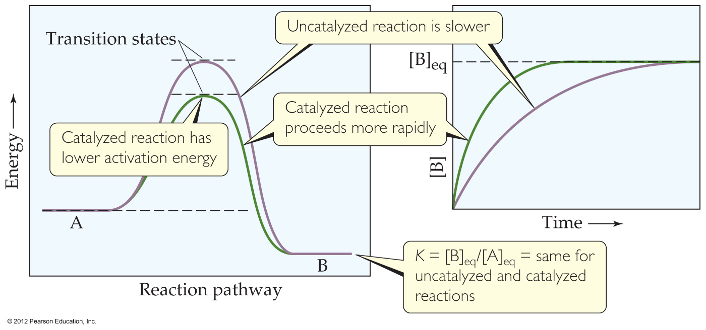 Multistep Reaction Energy Profile